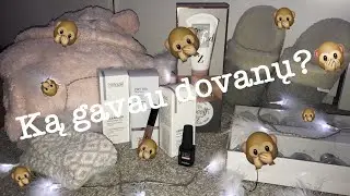 KALĖDINĖS DOVANOS!