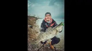 Pescuit la salau pe Siret