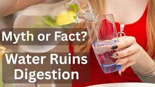 Does Drinking Water With Meals Dilute Stomach Acid? (The Digestion Myth Explained)