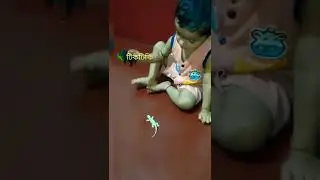 Baby playing with lizard toy 🦎 @Ri champ vlogs #shorts #shortvideo
