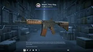 Recoil case
