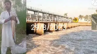 Head Baloki 🎣 Amazing Fishing Vlog 29/8/2023
