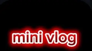 My first mini vlog baki part 2 MN dekhna ❣️