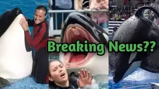 Rihanna's Tribute Song: The Heartbreaking Story of Jessica Radcliffe and the Orca Attack