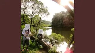 Крамольные жабы