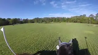 Radar N Helmet Cam Long Leaf HT