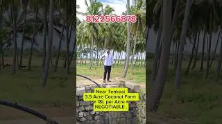 Low budget Coconut Farm for Sale #tenkasifarm #farmlandforsale #coconutfarm