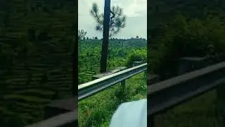 Almora mountains