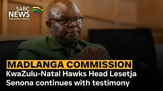 Madlanga Commission | KwaZulu-Natal Hawks Head Lesetja Senona continues with testimony
