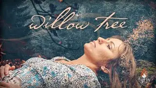 Fyerfly - Willow Tree (official video) Sensual Sadcore Blues Americana Slowcore Lofi Relaxing
