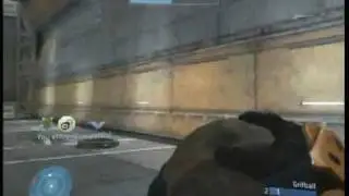 Raptor Scores