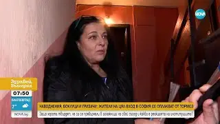 Наводнения, боклуци и гризачи: Жители на цял вход в София се оплакват от тормоз от съсед