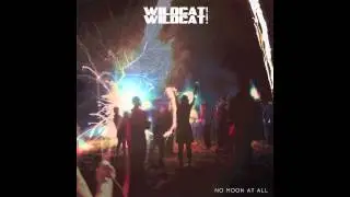 Wildcat! Wildcat! - Nothing Below