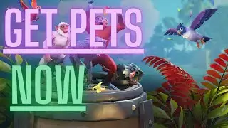 How To Get Pets In Sea Of Thieves (FAST)