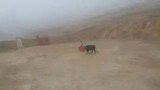 Ganaderia Rural Mercedes -cahuana alata herms coaza