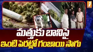 మత్తుకు బానిసై ఇంటి పెరట్లో గంజాయి సాగు | Ganja Plant grows at House | Nagarkurnool District