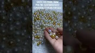 South sea pearl for sale on wholesale level 👉 WhatsApp +62-878-6502-6222 WeChat ID: mutiaraperls