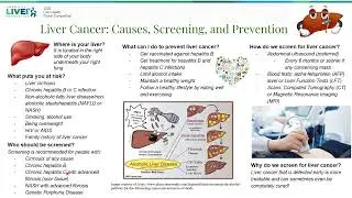 Liver Cancer: Causes, Screening, and Prevention, Dr. Liu, Dr. Lin, Dr. He, Dr. Mathialagan