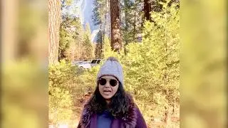 Ecotherapy- Nature heals!  Dr. Priti Parekh #ecotherapy #therapist #pandemic #healthylifestyle