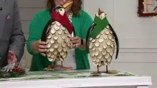 Plow and Hearth Outdoor/Indoor Set of 2 Penguins with Scarves on QVC