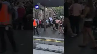 Anti-Herzog protest turns violent | 9 News Australia