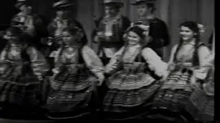 Występ zespołu 