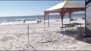 Camp Gulf Destin Florida Site 814 November 2015