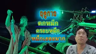 ฤดูกาลตกหมึก / ครอบหมึก /หมึกเยอะมาก
