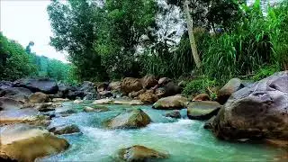 Relaxing Music with Water Sound &ndash; River Melodies for Peaceful Sleep
