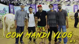 Mandi Vlog | SohrabGoth | Star Cattle Farm | Karachi Short Films
