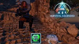 Выживание в Ark: Вознесенный: Информация о чиби