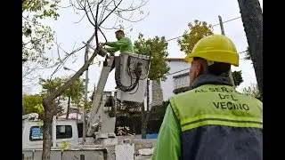San Fernando inici&oacute; el Plan de Poda 2019