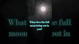 Moonlight #moon #fullmoonvibes  #fullmoonmessages #night #mooncycle #neighborsue #nightskymagic #sky