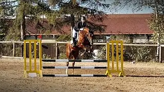 [Turniervideo kommentiert] Spring-WB, Caprilli-Test 2a, Springdressur-WB Großerkmannsdorf 20.09.2020