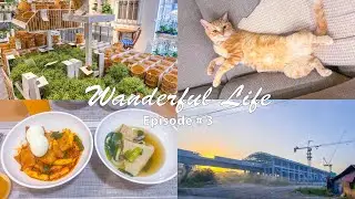 Home Vlog | Clean with Me, IKEA Trip & Homemade Korean Food