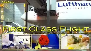 Lufthansa First Class A340 Frankfurt - Rio De Janeiro by [AirClips full flight series]