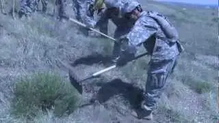 Wildfire Training