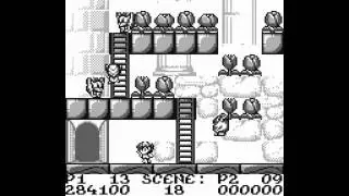 [Game Boy] Rod Land (J) Walkthrough