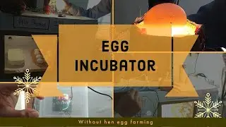 Egg Incubator