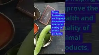 #BiotechRevolution#SustainableFeed#HealthyAnimals#InnovativeAgTech#EcoFriendlyFarming