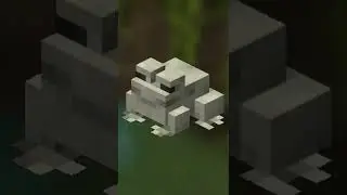 COMO CONSEGUIR TODOS LOS TIPOS DE RANAS? - MINECRAFT
