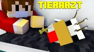 Tierarzt in Minecraft | Minecraft Abenteuermap | LarsLP