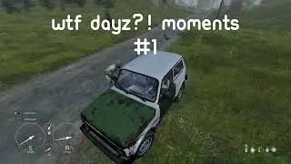WTF DayZ?! Funny Moments 1 #dayz #gaming #funny