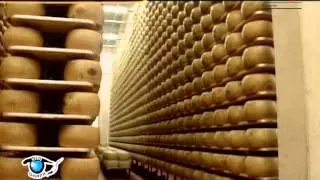 I formaggi, varietà di sapori - Marchi di qualità