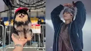 [SUB] JUNGKOOK  WEVERSE LIVE | TAEHYUNG STARTED LIVE STREAMING NOW | JEON FANS  LIVE |#JUNGKOOK #BTS