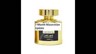 7 Month Maceration Update on Kashan EDP by Lattafa | Fragrances #266