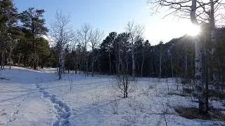 Lady Moon Trail (Winter) - In A Colorado Minute (Week 254)