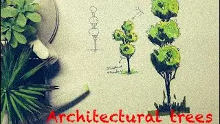 How to draw trees in architecture #howto #draw #architecture
