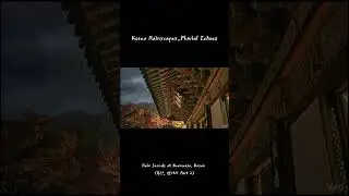 Rain Sounds at Beomeosa, Busan - Part 2 | Cinematic ASMR for Sleep and Relax #shorts