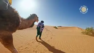 My Soul My Solace - Your Rhythm - Official Video 